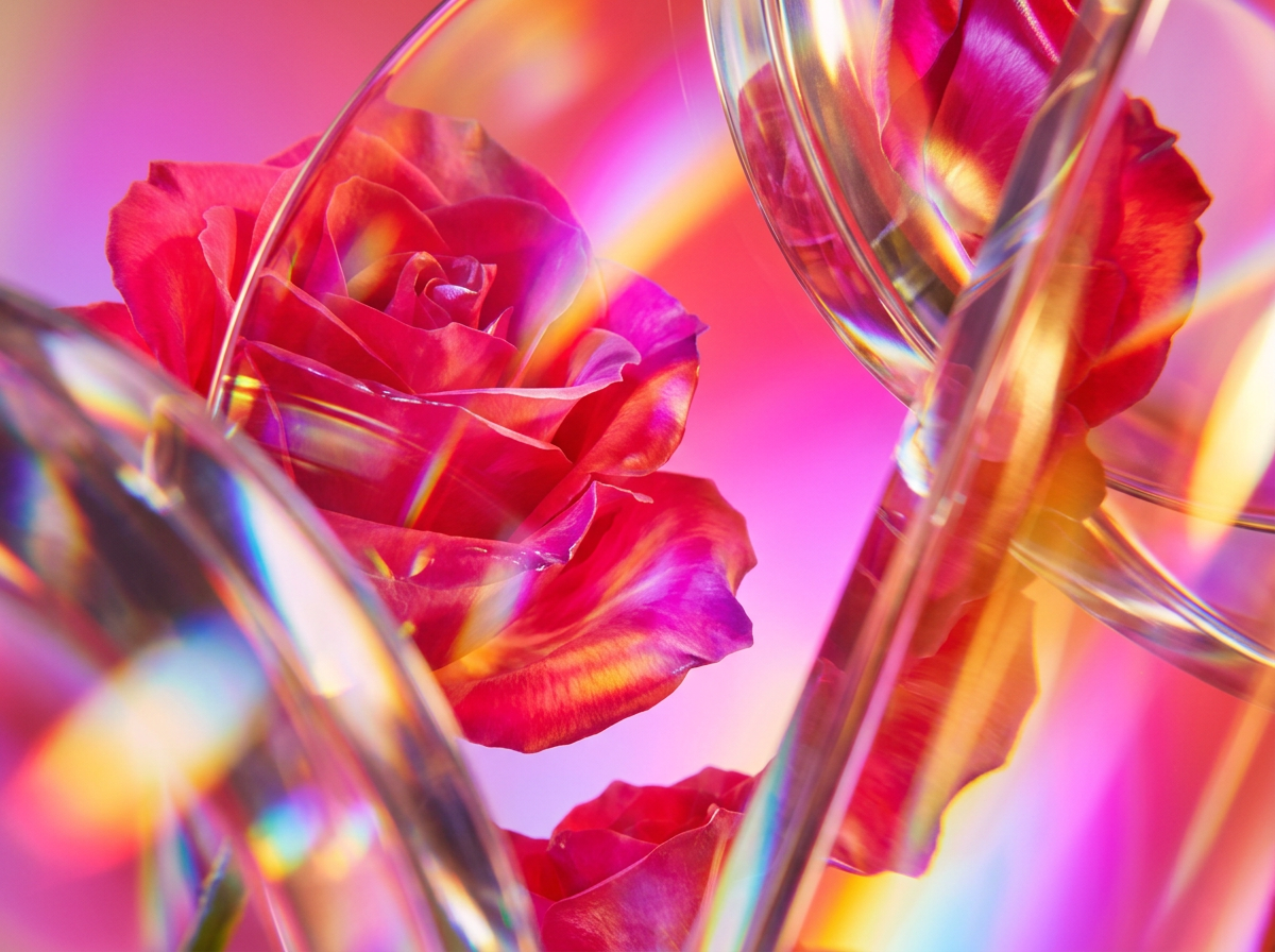 Artisanal fragrance bottles showcasing the clear and vibrant ingredients used in small-batch perfumery.