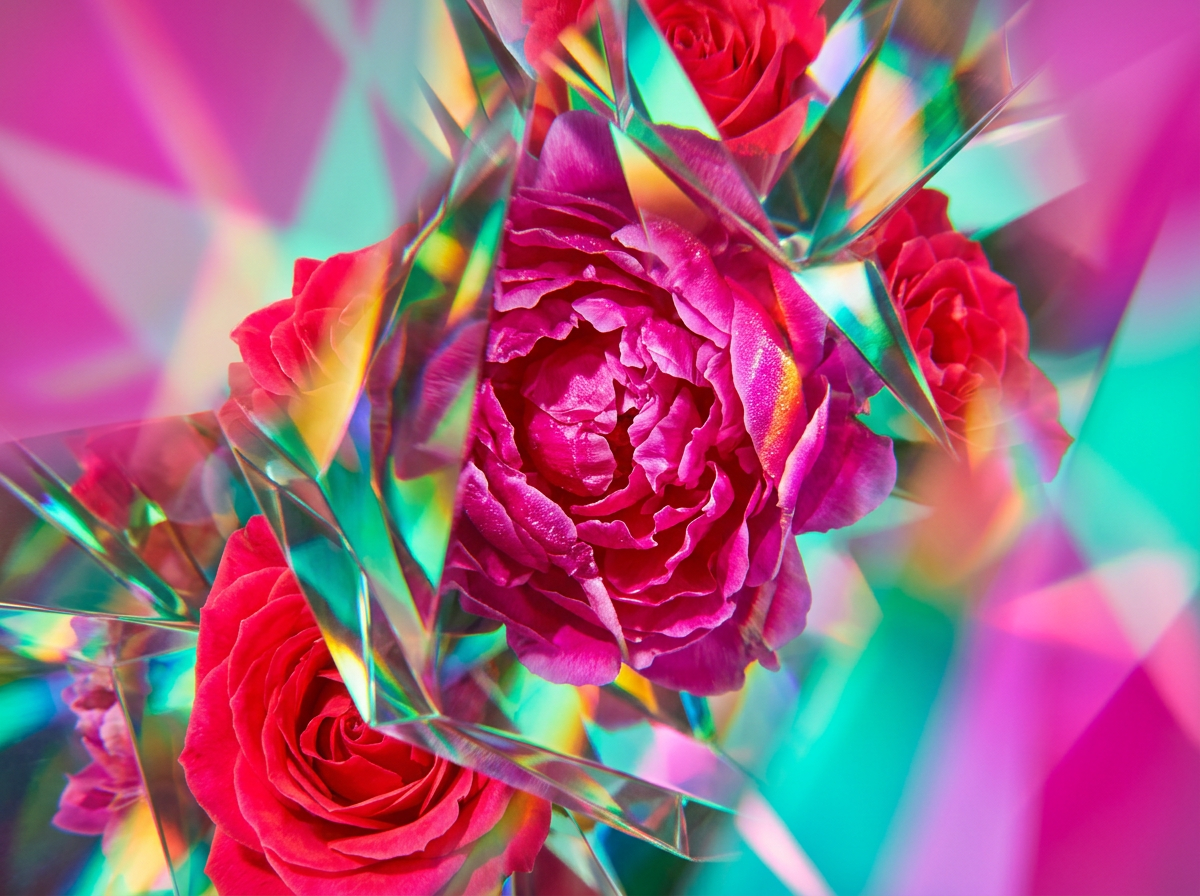Dewy flowers and sliced citrus representing fresh fragrance notes