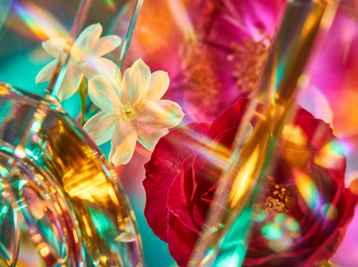 Artisanal fragrance bottles on a marble surface surrounded by botanical ingredients